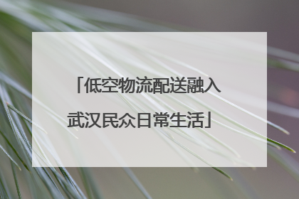 低空物流配送融入武汉民众日常生活