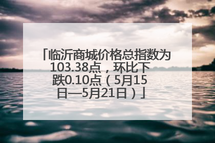 临沂商城价格总指数为103.38点，环比下跌0.10点（5月15日—5月21日）