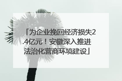 为企业挽回经济损失2.4亿元！安徽深入推进法治化营商环境建设