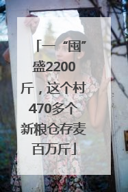 一“囤”盛2200斤，这个村470多个新粮仓存麦百万斤
