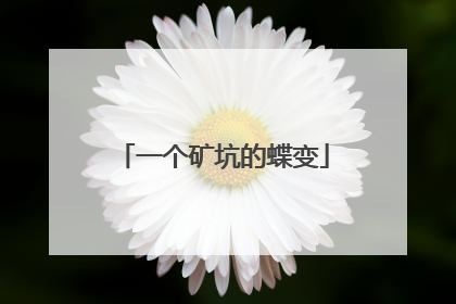一个矿坑的蝶变