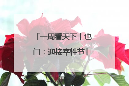 一周看天下丨也门：迎接宰牲节