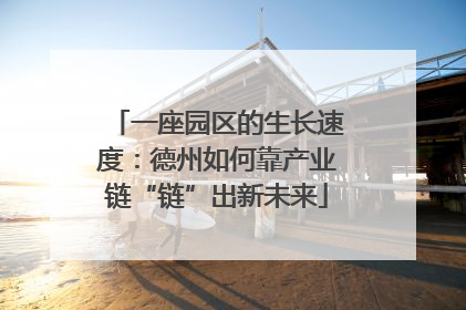 一座园区的生长速度：德州如何靠产业链“链”出新未来
