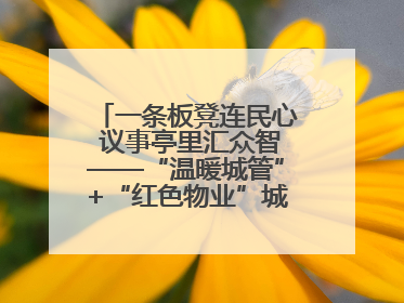 一条板凳连民心 议事亭里汇众智——“温暖城管”+“红色物业”城市管理进社区新模式绘就城市管理社区治理新画卷