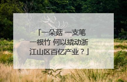 一朵菇 一支笔 一根竹 何以撬动浙江山区百亿产业？