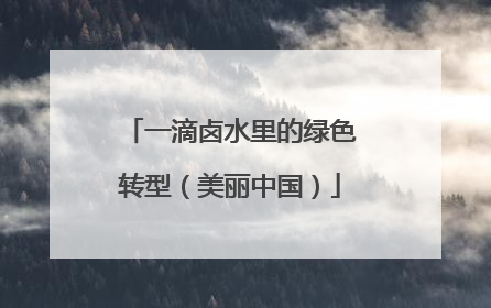 一滴卤水里的绿色转型（美丽中国）