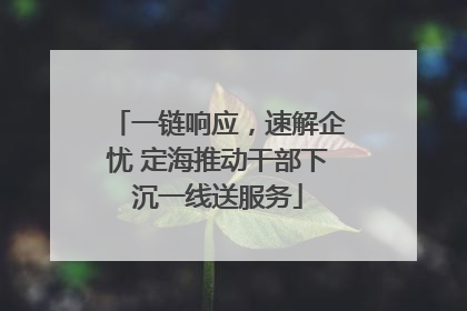 一链响应，速解企忧 定海推动干部下沉一线送服务