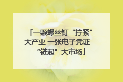 一颗螺丝钉“拧紧”大产业 一张电子凭证“链起”大市场
