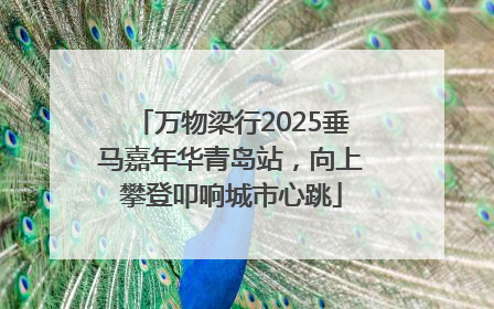 万物梁行2025垂马嘉年华青岛站，向上攀登叩响城市心跳