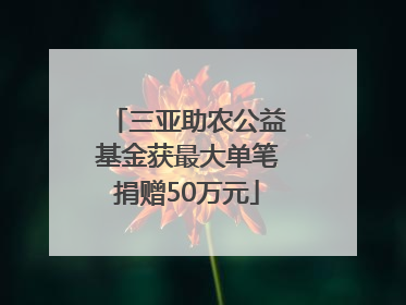 三亚助农公益基金获最大单笔捐赠50万元
