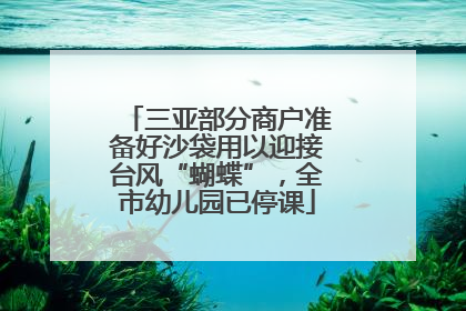 三亚部分商户准备好沙袋用以迎接台风“蝴蝶”，全市幼儿园已停课
