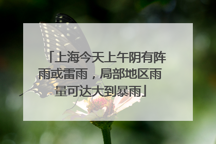 上海今天上午阴有阵雨或雷雨，局部地区雨量可达大到暴雨