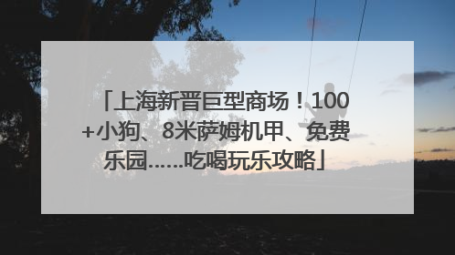 上海新晋巨型商场！100+小狗、8米萨姆机甲、免费乐园……吃喝玩乐攻略