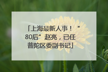 上海最新人事！“80后”赵亮，已任普陀区委副书记