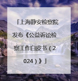 上海静安检察院发布《公益诉讼检察工作白皮书（2024）》