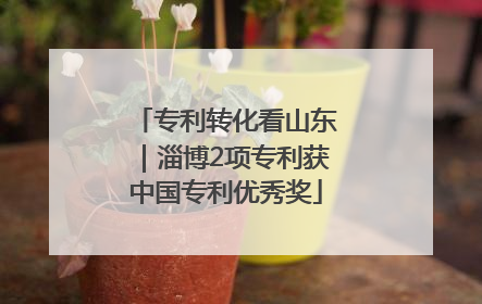 专利转化看山东｜淄博2项专利获中国专利优秀奖