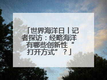 世界海洋日丨记者探访：经略海洋 有哪些创新性“打开方式”？