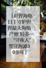 世界海龟日丨守护世界最大海龟产卵 特多“守夜人”坚守海滩30多年