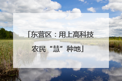 东营区：用上高科技 农民“慧”种地
