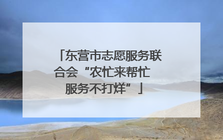 东营市志愿服务联合会“农忙来帮忙 服务不打烊”
