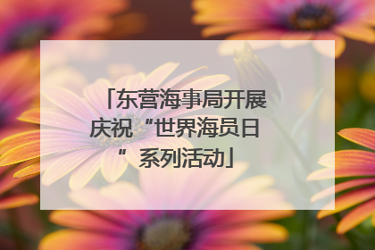 东营海事局开展庆祝“世界海员日”系列活动