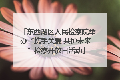 东西湖区人民检察院举办“携手关爱 共护未来”检察开放日活动