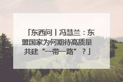 东西问丨冯慧兰：东盟国家为何期待高质量共建“一带一路”？