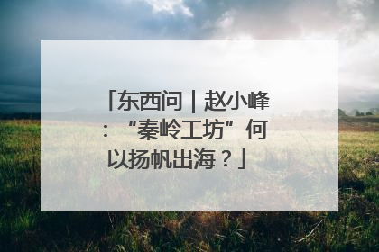 东西问｜赵小峰：“秦岭工坊”何以扬帆出海？