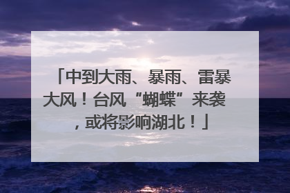 中到大雨、暴雨、雷暴大风！台风“蝴蝶”来袭，或将影响湖北！