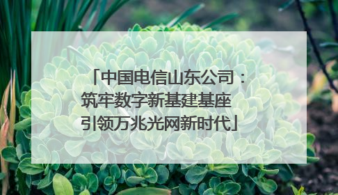 中国电信山东公司：筑牢数字新基建基座 引领万兆光网新时代