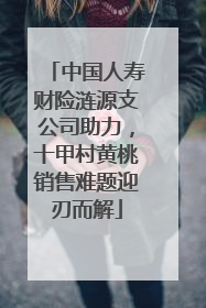 中国人寿财险涟源支公司助力，十甲村黄桃销售难题迎刃而解