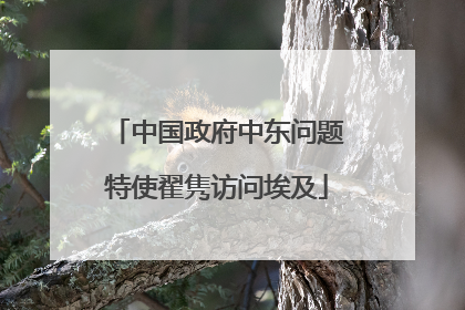 中国政府中东问题特使翟隽访问埃及