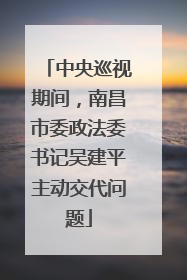 中央巡视期间，南昌市委政法委书记吴建平主动交代问题