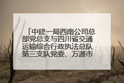 中建一局西南公司总部党总支与四川省交通运输综合行政执法总队第三支队党委、万源市草坝镇莲花院村党支部开展党建联建