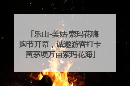 乐山-美姑·索玛花嗨购节开幕，诚邀游客打卡黄茅埂万亩索玛花海