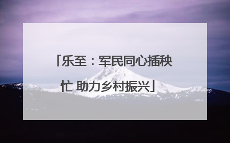 乐至：军民同心插秧忙 助力乡村振兴