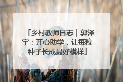 乡村教师日志｜郭泽宇：开心助学，让每粒种子长成最好模样