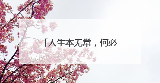 人生本无常，何必求州全 今晚“南哥”对阵“0州” 街头车贴玩花样