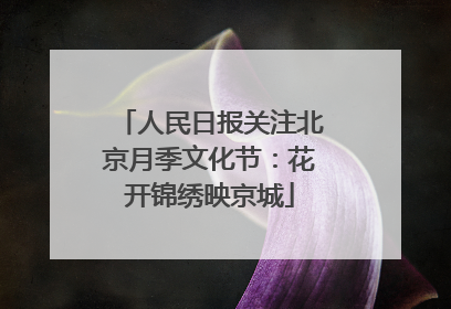 人民日报关注北京月季文化节：花开锦绣映京城