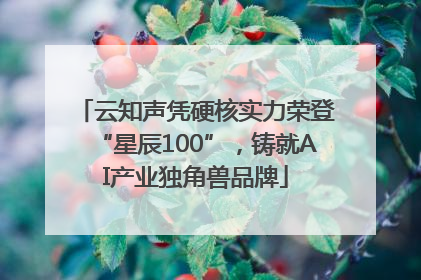 云知声凭硬核实力荣登“星辰100”，铸就AI产业独角兽品牌