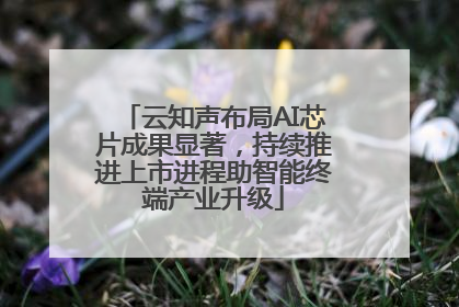 云知声布局AI芯片成果显著，持续推进上市进程助智能终端产业升级