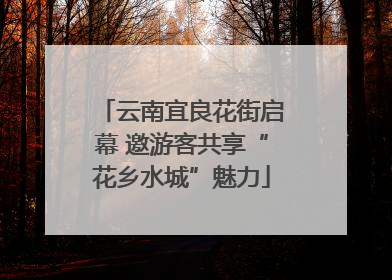 云南宜良花街启幕 邀游客共享“花乡水城”魅力