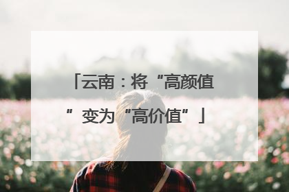 云南：将“高颜值”变为“高价值”