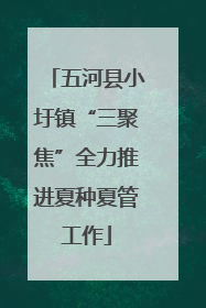 五河县小圩镇“三聚焦”全力推进夏种夏管工作
