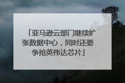 亚马逊云部门继续扩张数据中心，同时还要争抢英伟达芯片