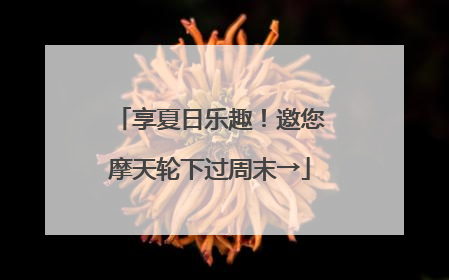 享夏日乐趣！邀您摩天轮下过周末→