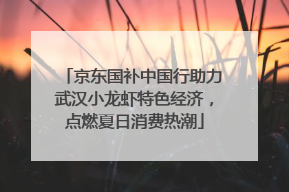 京东国补中国行助力武汉小龙虾特色经济，点燃夏日消费热潮