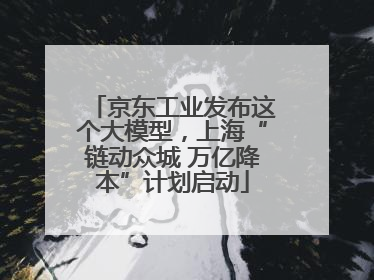 京东工业发布这个大模型，上海“链动众城 万亿降本”计划启动