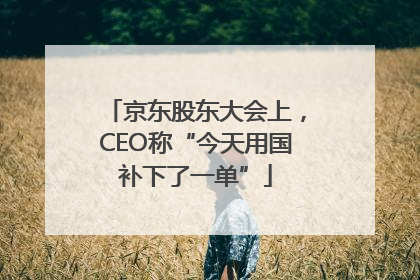 京东股东大会上，CEO称“今天用国补下了一单”