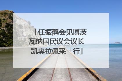 任振鹤会见博茨瓦纳国民议会议长凯奥拉佩采一行